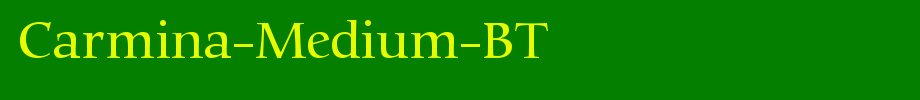 Carmina-Medium-BT_英文字体字体效果展示
