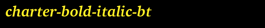 Charter-Bold-Italic-BT_英文字体字体效果展示