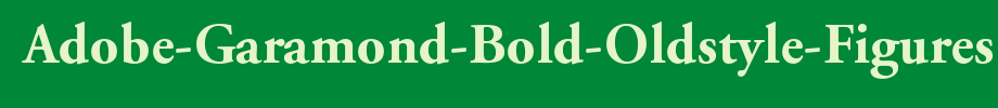 Adobe-Garamond-Bold-Oldstyle-Figures_英文字体字体效果展示